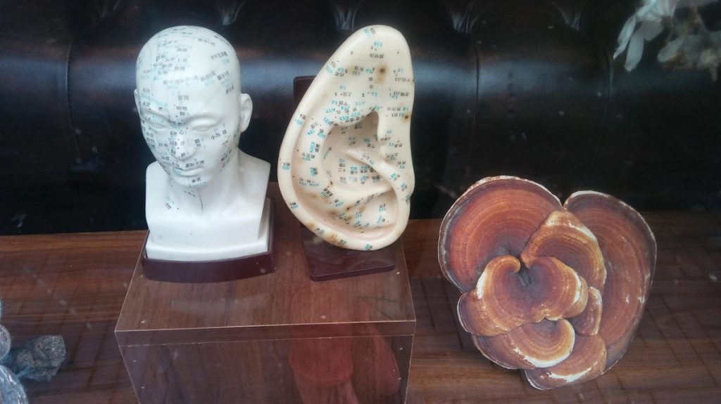 Workshop: Edyta Jarząb, Come closer – a soundwalk of (acoustic) possibilities